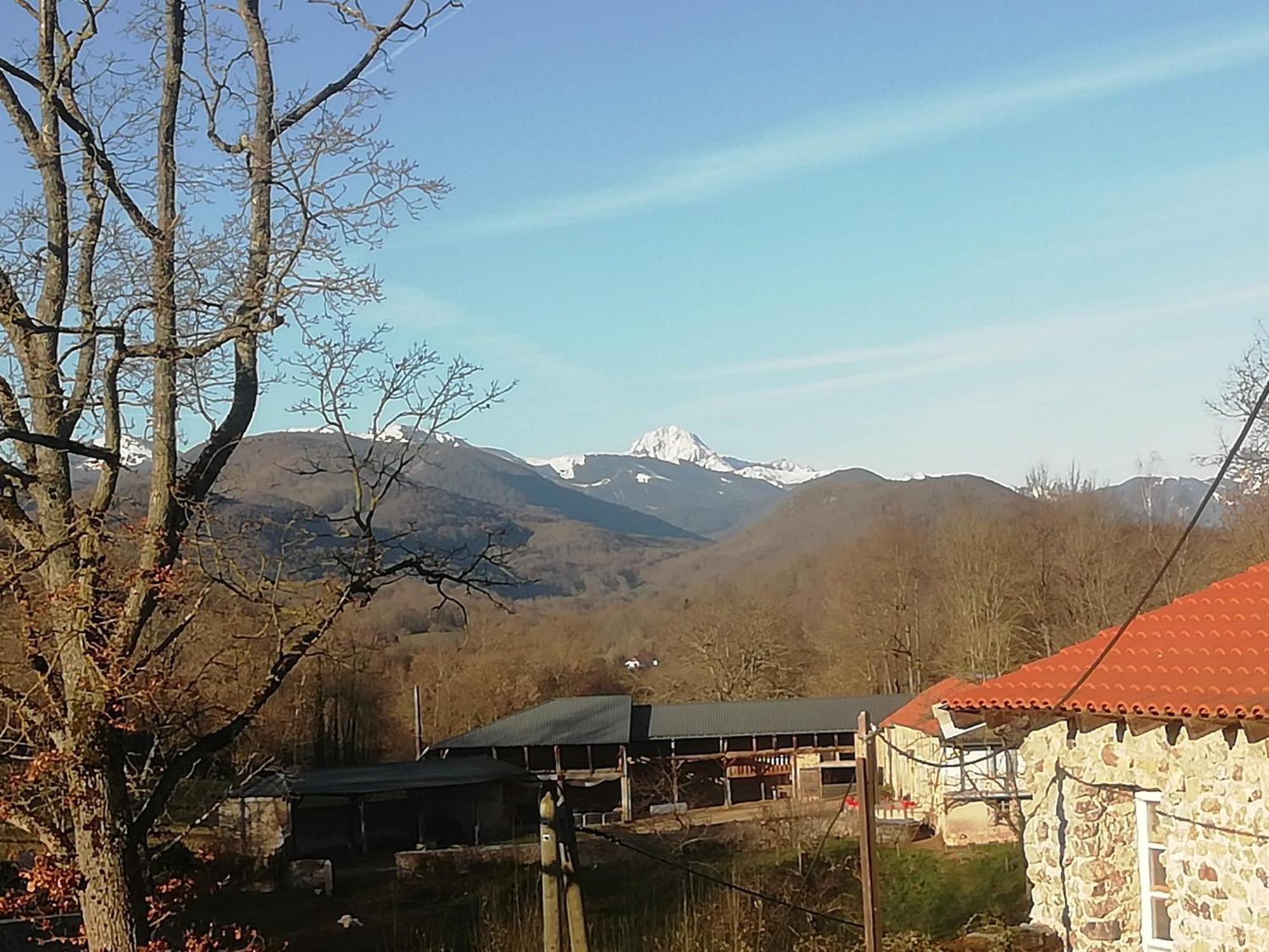 Le Donjon Rustique De Montegut Montégut Exterior foto